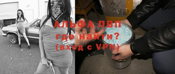 тгк Гусев