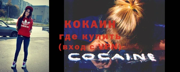 мяу мяу мука Гусь-Хрустальный