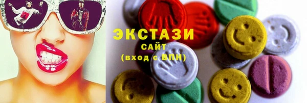 тгк Гусев