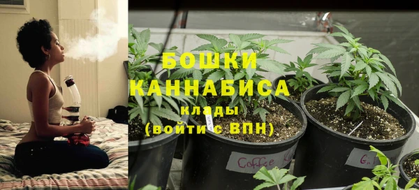 мяу мяу мука Гусь-Хрустальный
