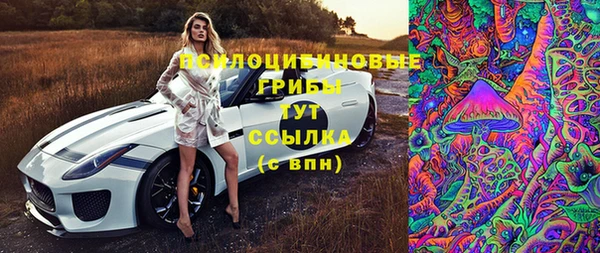 ALPHA PVP Гусиноозёрск