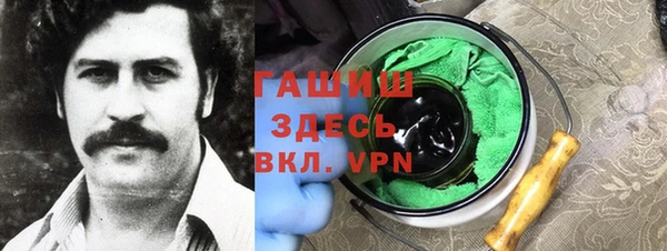 мяу мяу мука Гусь-Хрустальный