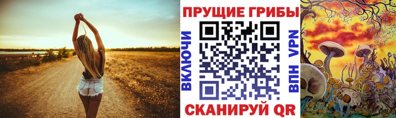 мега как зайти  Красногорск  Псилоцибиновые грибы мицелий 